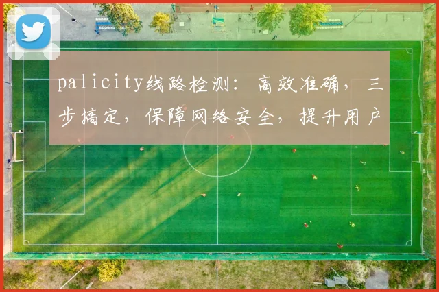 palicity线路检测：高效准确，三步搞定，保障网络安全，提升用户体验