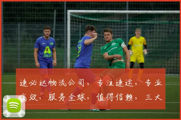 速必达物流公司，专注速运，专业高效，服务全球，值得信赖，三大优势一网打尽。
