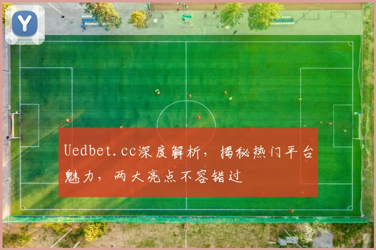 Uedbet.cc深度解析，揭秘热门平台魅力，两大亮点不容错过